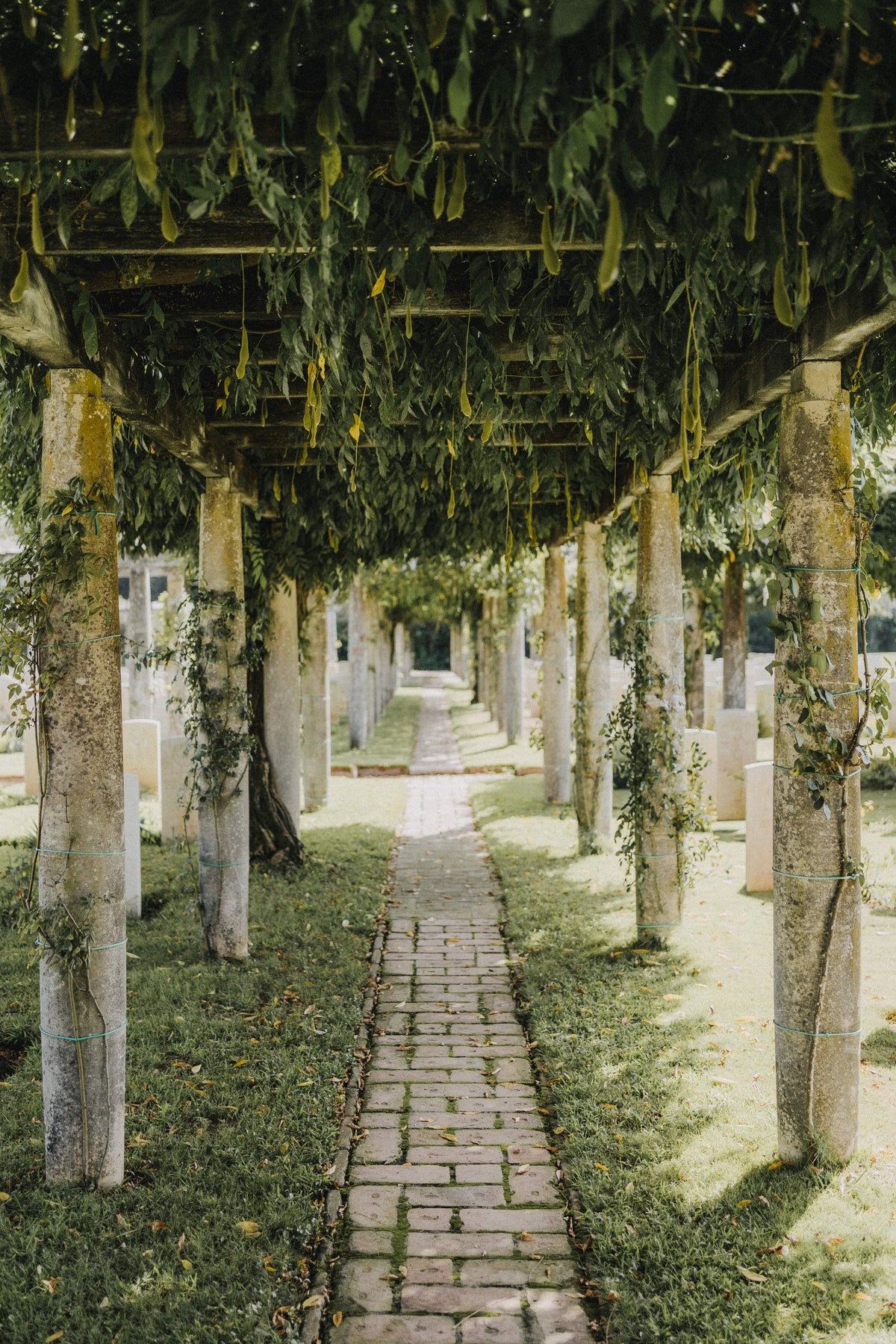 Immagine del centro di ritiro