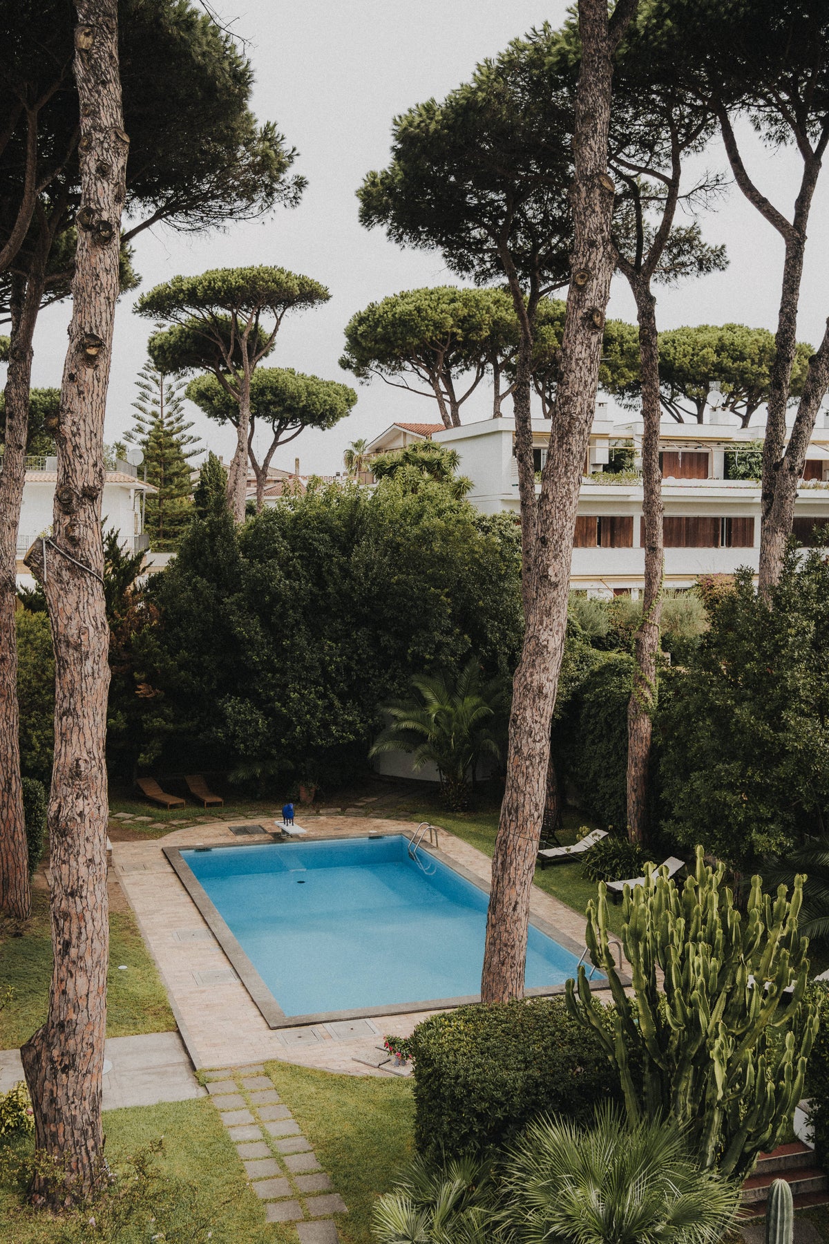 Immagine del centro di ritiro